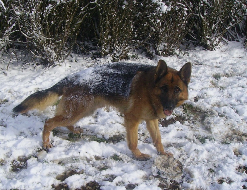 Vador De la cote sibertiere