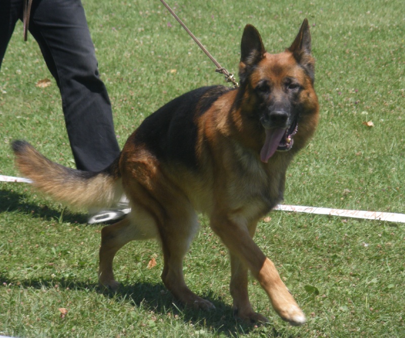 Vador De la cote sibertiere