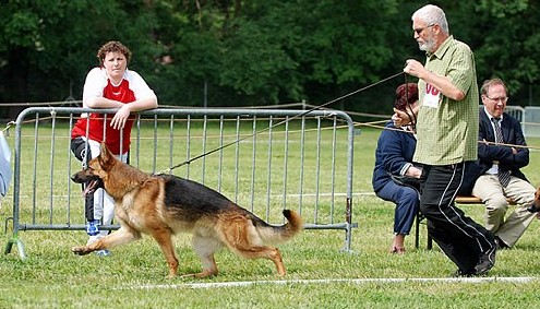 Vador De la cote sibertiere