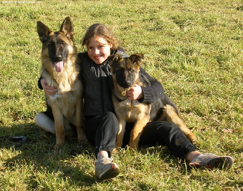 Vador De la cote sibertiere