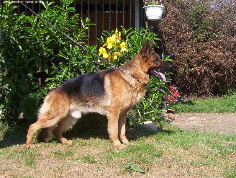 Phantome de la vallée du Taravo