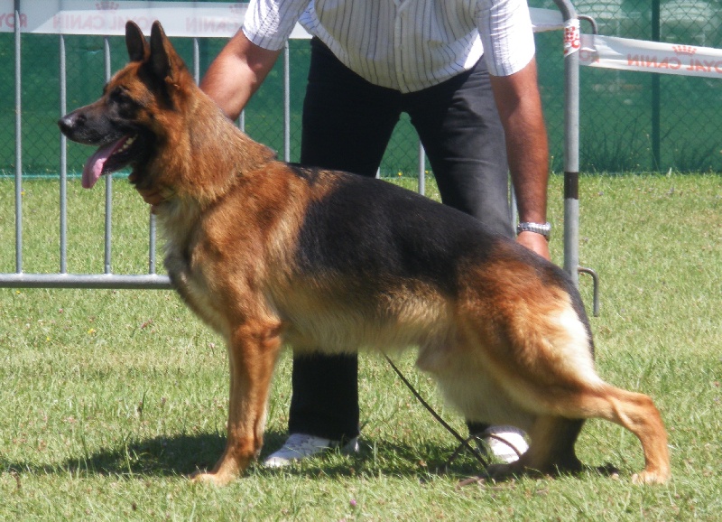 Vador De la cote sibertiere