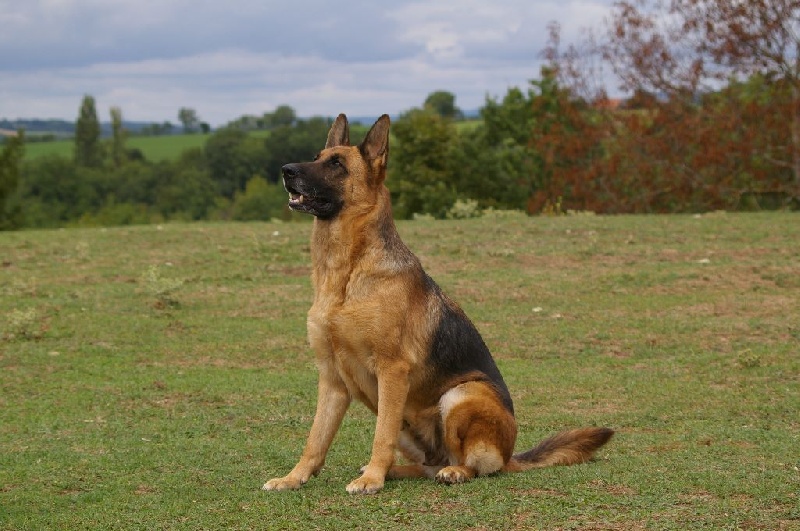 Enna des contes de Gwelane