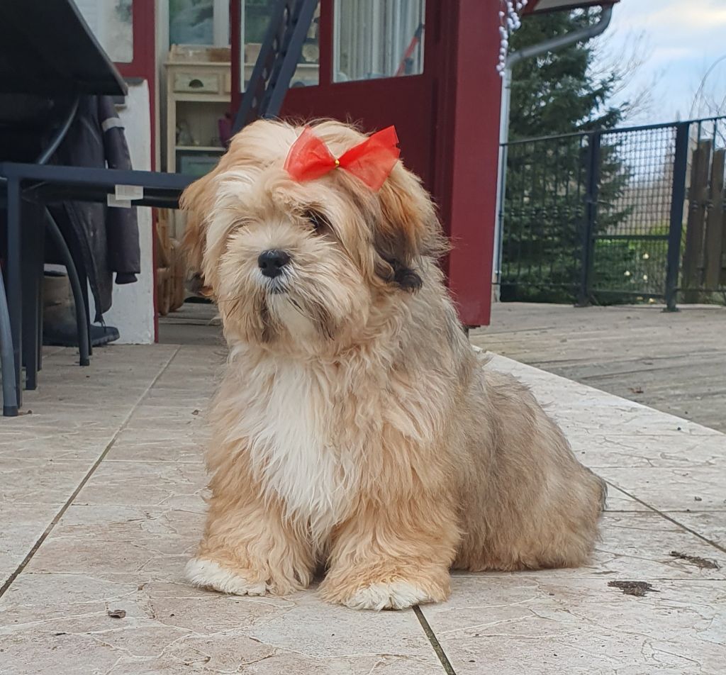 Ulyanna des contes de Gwelane