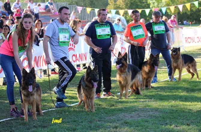 des contes de Gwelane - Championnat de France 2016