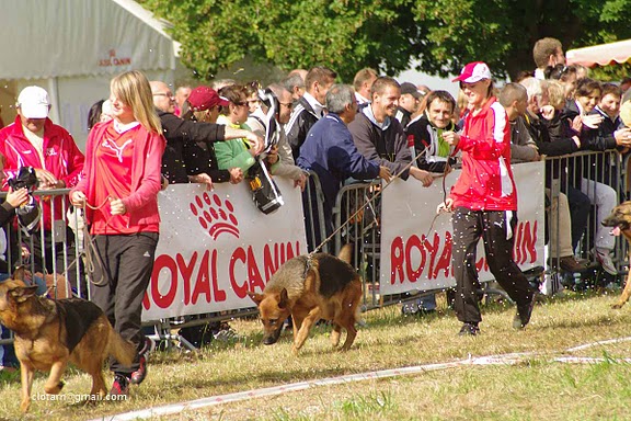 nationale d'élevage 2011