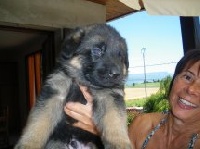 CHIOT
